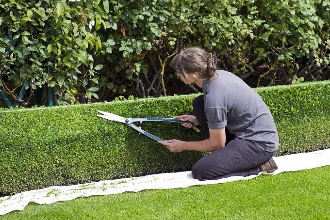 Mietnebenkostenabrechnung Gartenpflege
